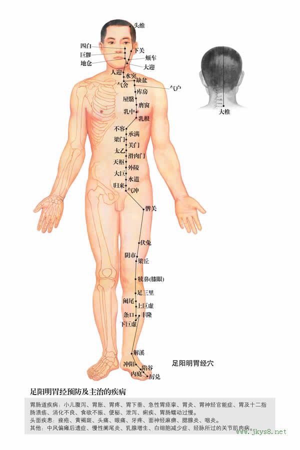 天樞穴：胃經(圖文)