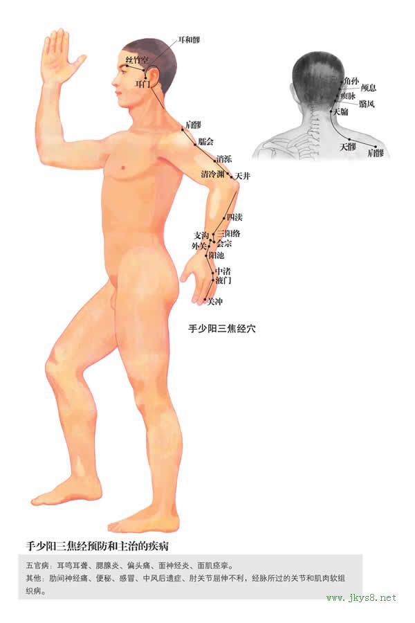 肩髎穴：三焦經(jīng)(圖文)