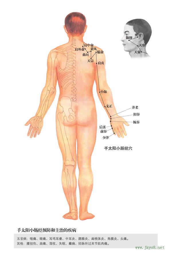 天容穴：小腸經(jīng)(圖文)