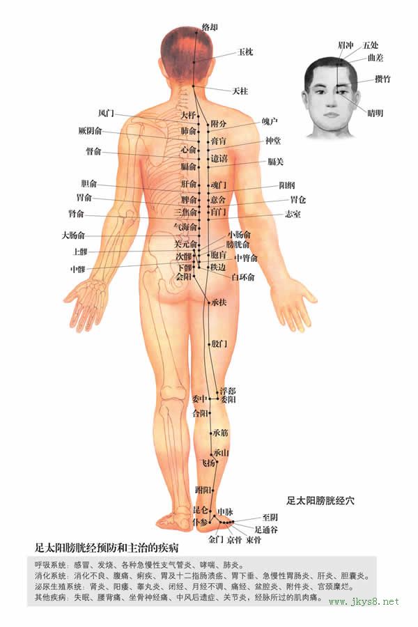 金門穴：膀胱經(jīng)(圖文)