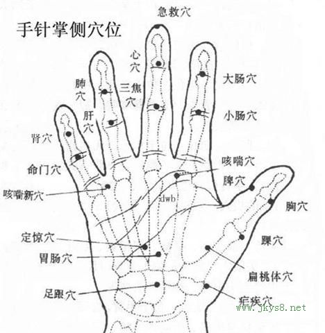 手針掌側穴位