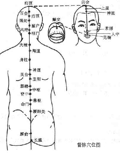 督脈穴位圖