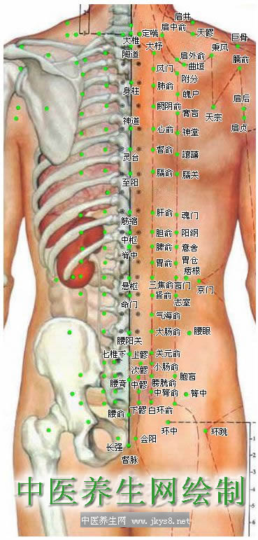 人體背部穴位圖-人體穴位圖大全-按身體部位查詢(圖文)