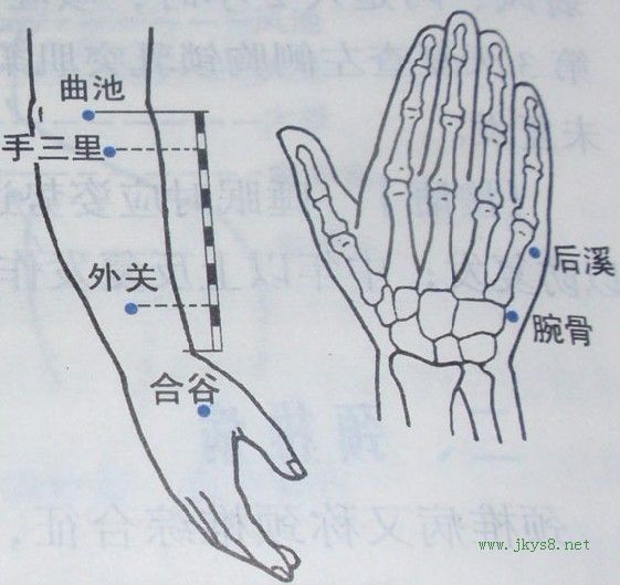 合谷穴位置圖