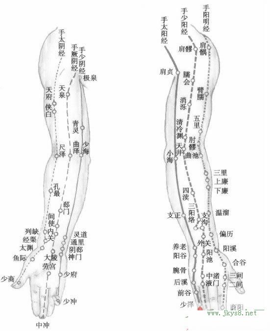 上肢經(jīng)絡(luò)圖