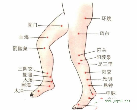 下肢穴位圖側(cè)面