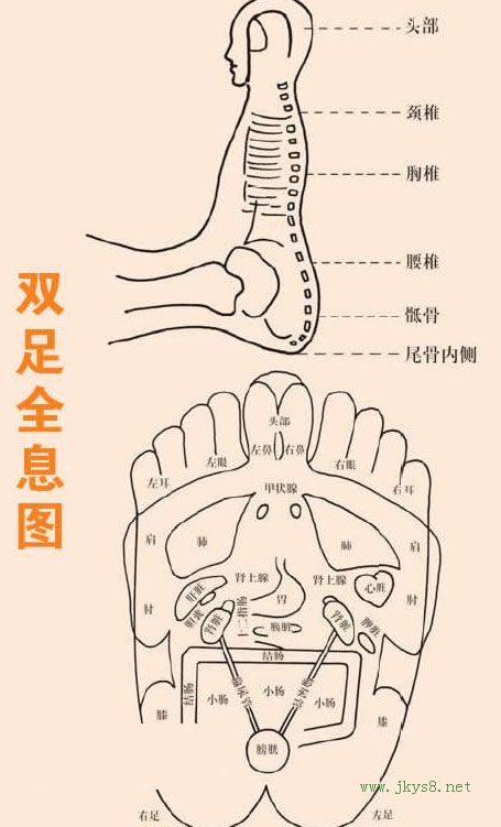 雙足全息圖示