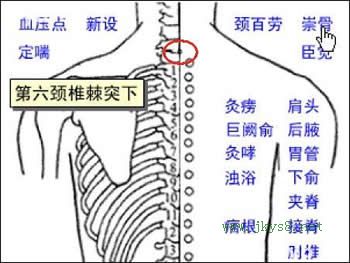 崇骨穴位位置圖-人體穴位查詢