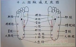 足底經(jīng)絡(luò)分布圖