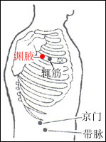 淵腋穴的位置解剖分析圖