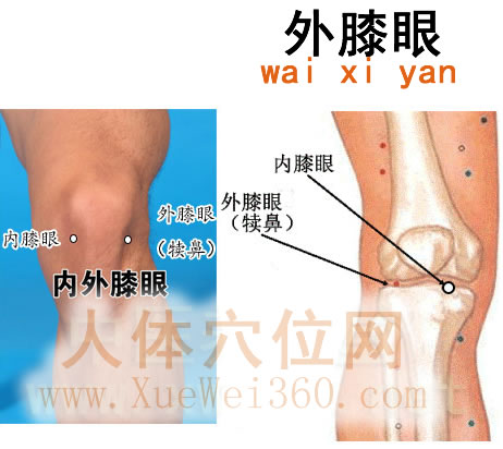 外膝眼穴的準確位置圖