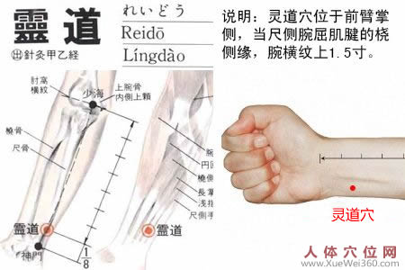 靈道穴的準確位置圖