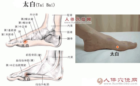 太白穴的準確位置圖