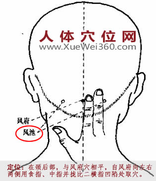 風(fēng)池穴位置圖