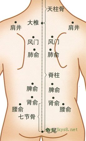 小兒背部穴位圖