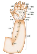 小兒按摩穴位-手肘部