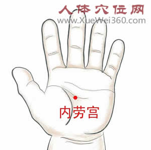 內(nèi)勞宮的準(zhǔn)確位置圖