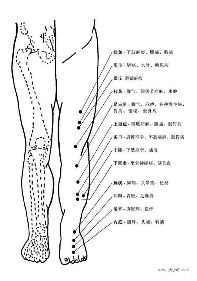 圖片詳解-人體穴位、經(jīng)脈及對(duì)應(yīng)疾病大全