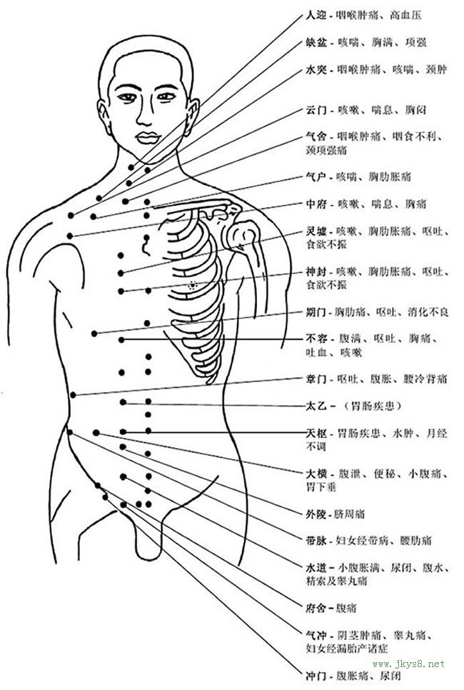 人體穴位高清圖帶穴位功能主治說(shuō)明