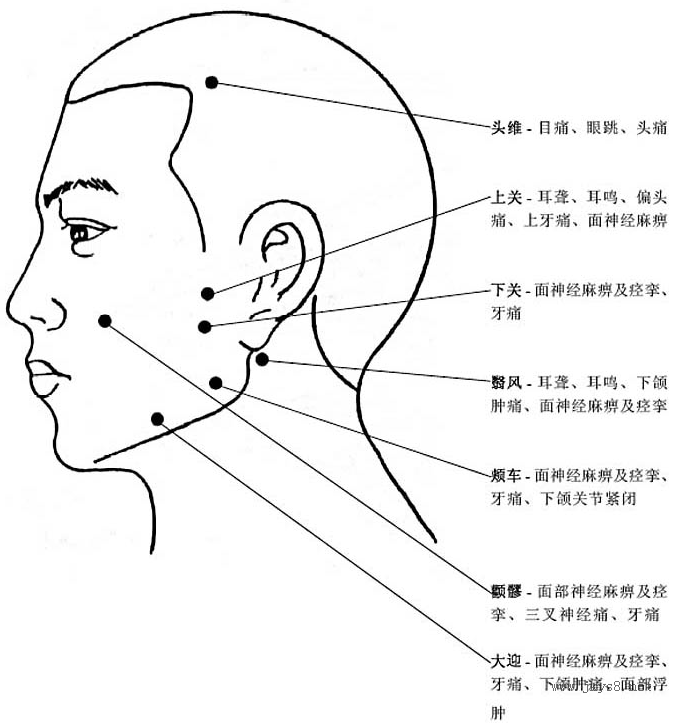 圖片詳解-人體穴位、經(jīng)脈及對(duì)應(yīng)疾病大全