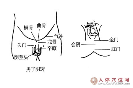 男子陰竅按摩穴位圖