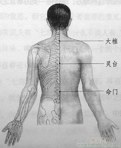 治療痔瘡用提肛法