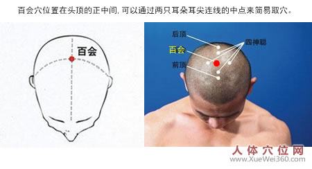 百會穴的準(zhǔn)確位置圖