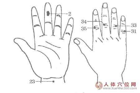 陳菊惠用手腳穴位按摩法治好已患8年的頭痛病