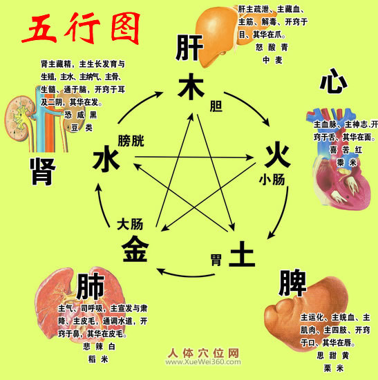 簡(jiǎn)單易懂的五臟養(yǎng)生竅門，實(shí)用！